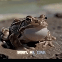 TOAD