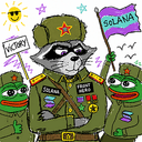 SOLcoon