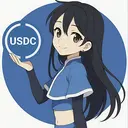 USDC-CHAN
