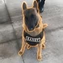 Randy