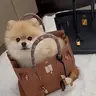 BIRKIN