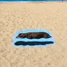 FLOAT