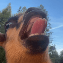 MEHHH