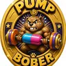 BOBER