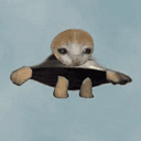 UFO