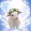 Lamb