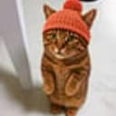 HOBBES