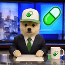 newsdog