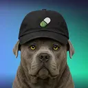 Cap