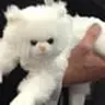 Bob