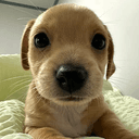 billy