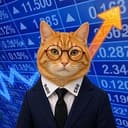 Nasqcat