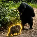 Unbearable