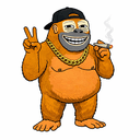 Apes
