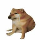 DEBTDOG