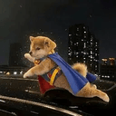 Superinu
