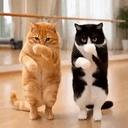 TWIN KITS
