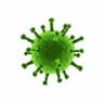 Virus