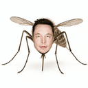 Muskedo