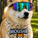 MOGSHIB
