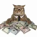 richcat