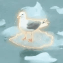 Seagull