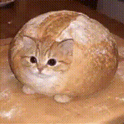 breadcat