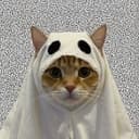 GHOSTCAT
