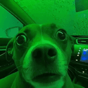 gog