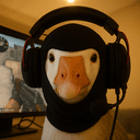 CSGOose