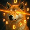 BTCDOGE