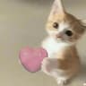 LOVECOIN