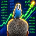 Budgie