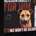 DOGS