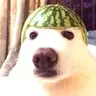 MELON