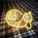 snailcat