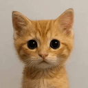 Neko
