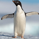 Steve1YROG