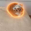 LOAF