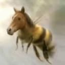 borse