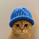 CATWIF