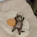 EEPY