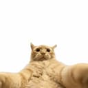 selfie