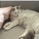 Yuki