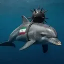 dolphins
