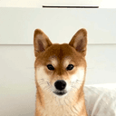 KYOJU