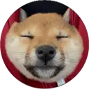 SAN