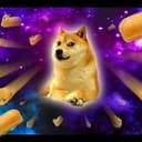 SpaceDoge