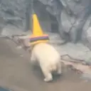 モモ太