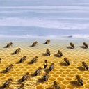 HIVE